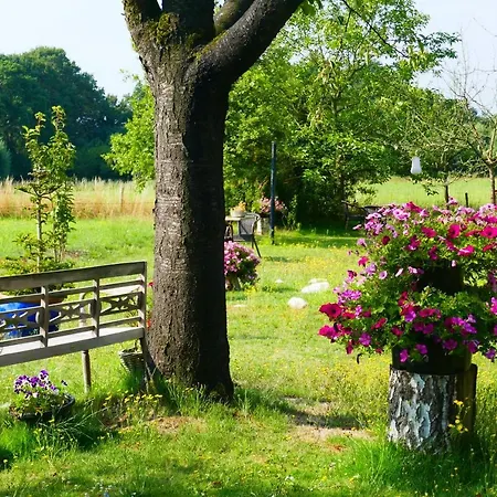 Rezonans 3* Warnsveld