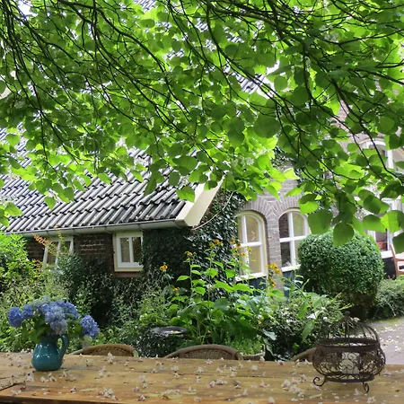 Rezonans * Warnsveld