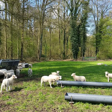 Rezonans Agroturismo Warnsveld