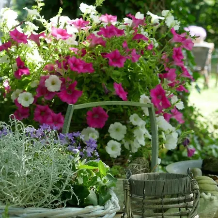 Farm stay Rezonans *