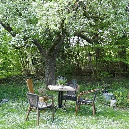 Farm stay Rezonans Warnsveld