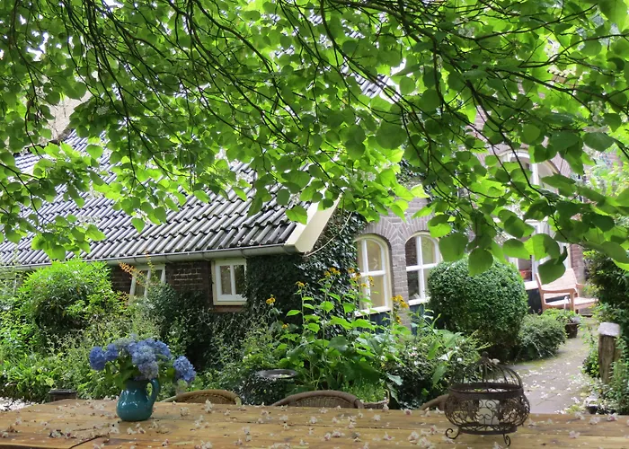 Rezonans * Warnsveld