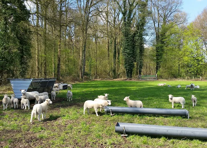 Rezonans Lantgård Warnsveld