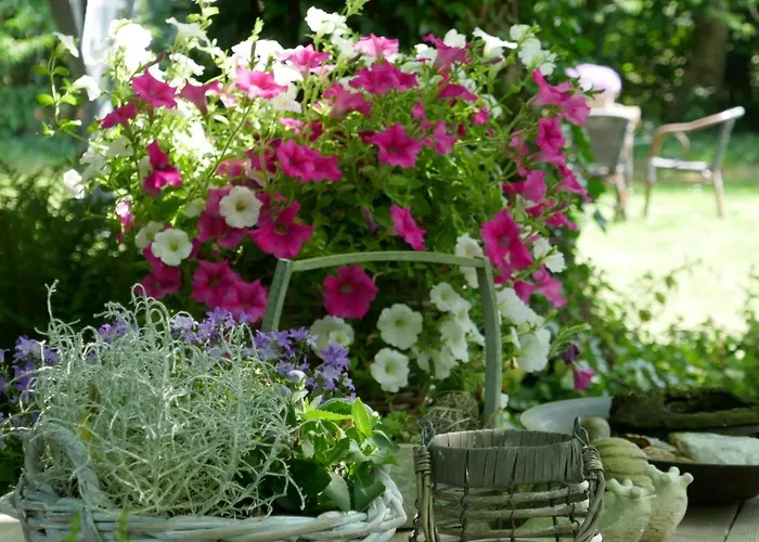 Lantgård Rezonans *