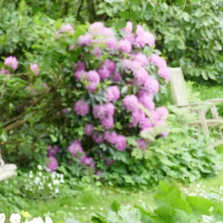 Vendégház Rezonans