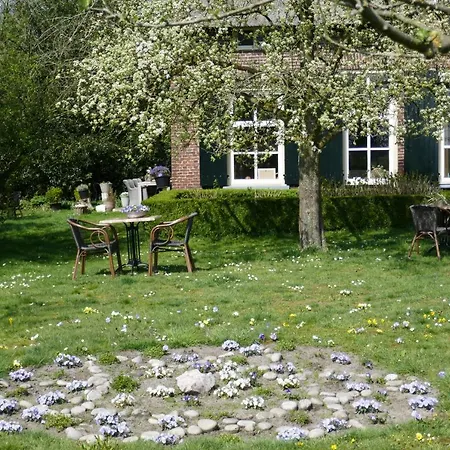 Rezonans Warnsveld
