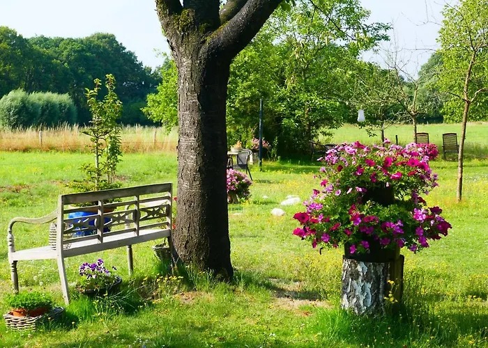 Rezonans * Warnsveld