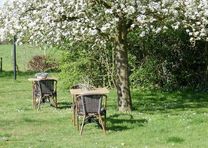 Rezonans Vakantieboerderij Warnsveld